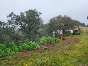 Finca cinegética de recreo y caza
