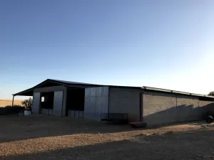 Finca ganadera 40 hectareas