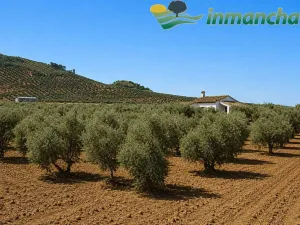 finca venta 28 has. olivar riego en Albacete