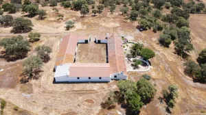 Finca rústica en Villanueva de los Castillejos
