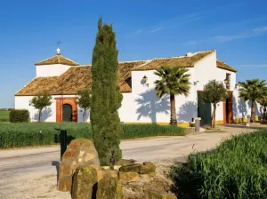 Finca de 91 ha en Écija