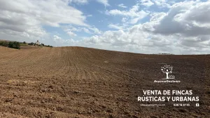 485has secano, riego, olivar, cortijo, embals