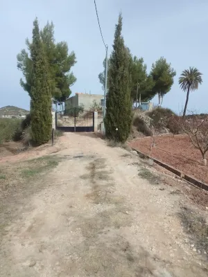 Finca rústica de 4 hectáreas con olivar, frutales, agua propia y construcción en Cehegín