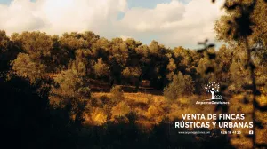 30 has sierra de Hornachuelos, vivienda, pisc