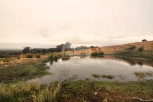 Venta de magnífica finca rústica de 180 has