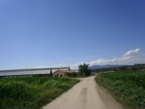 Finca de 52 Ha de regadío + leche