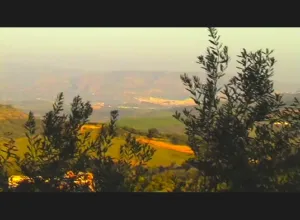 Finca de Olivos en producción con POZO PROPIO
