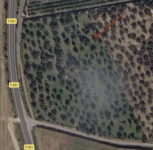 Finca rústica ideal para cultivo o inversión