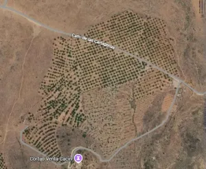 Finca Agrícola de Regadío con Cortijo y Agua