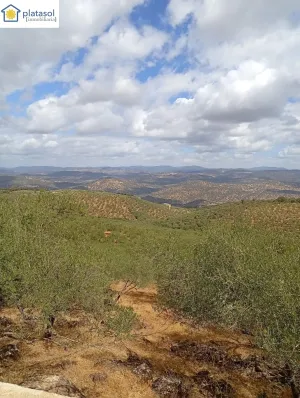 Finca rústica de olivos en Zufre