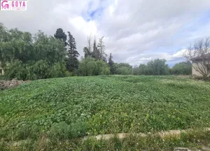 FINCA RUSTICA EN VILLAFRANQUEZA