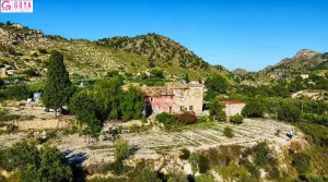 FINCA RUSTICA EN MONTNEGRE