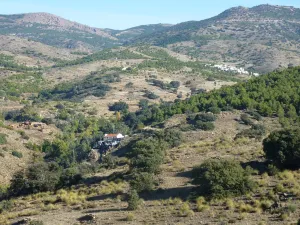 46,61 ha en el Parque Natural Sierra Baza