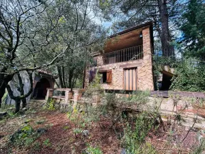 Chalet rústico en venta en Riopar - Albacete