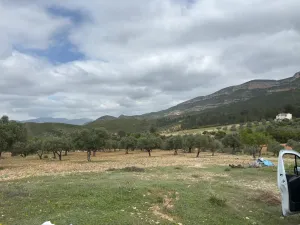 finca en venta Corte de Pallas