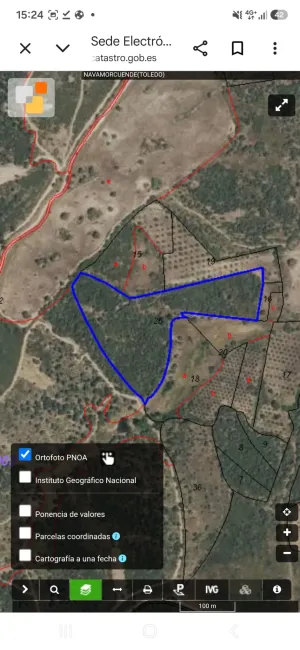 FINCA RÚSTICA EN VENTA – NAVAMORCUENDE