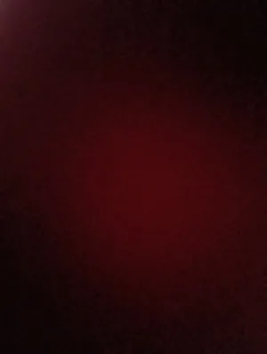 Venta de Viñedo D.O. Ribera del Duero – 3 Ha
