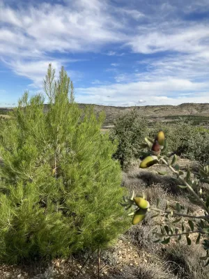 Santuario Forestal Privado/ 40 miin de Madrid