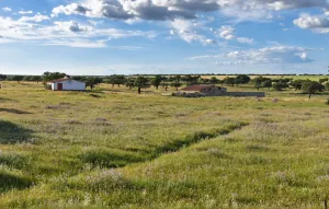 FINCA GANADERA DE MÁS DE 21 HA