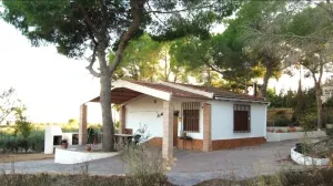 Finca rústica en Murcia - Murcia