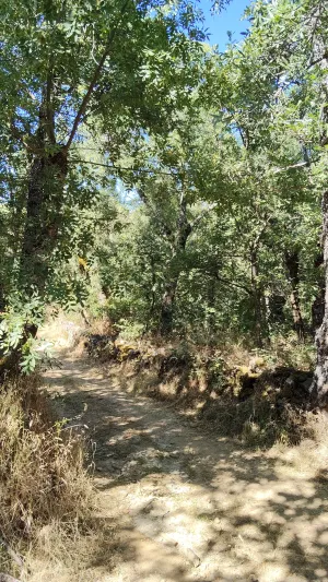 Terreno de 12.844m2