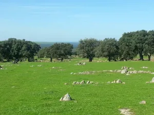 FINCA RUSTICA GANADERA Y CINEGETICA