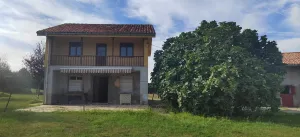 Finca Rústica con casa a rehabilitar Asturias