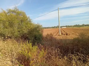 Se alquila parcela