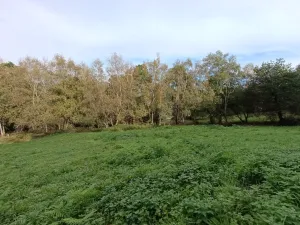 Finca rústica en La Granduca, Langreo