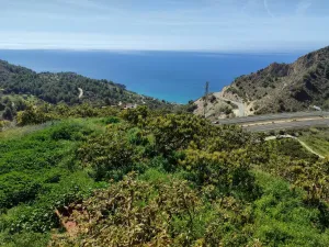 Se vende magnífica finca agricola de 35.000m2