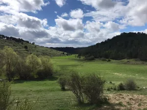 Singular finca 800Has con 3 Masías en Teruel