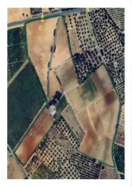 Finca con buen acceso