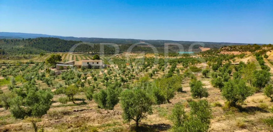 Imagem da quinta Propriedade residencial perto da cidade de Lleida
