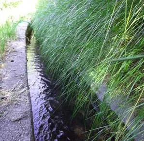  Bodega de ensueño en Monachil (Granada) – ¡Naturaleza, tradición y oportunidad en un mismo sitio!