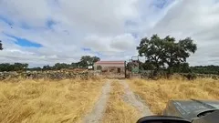 Dehesa en Brozas