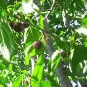 Bodega de ensueño en Monachil (Granada) – ¡Naturaleza, tradición y oportunidad en un mismo sitio!