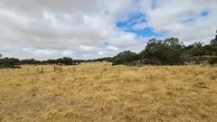 Dehesa en Brozas