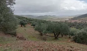 Hermosa Finca de Caza mayor y Recreo