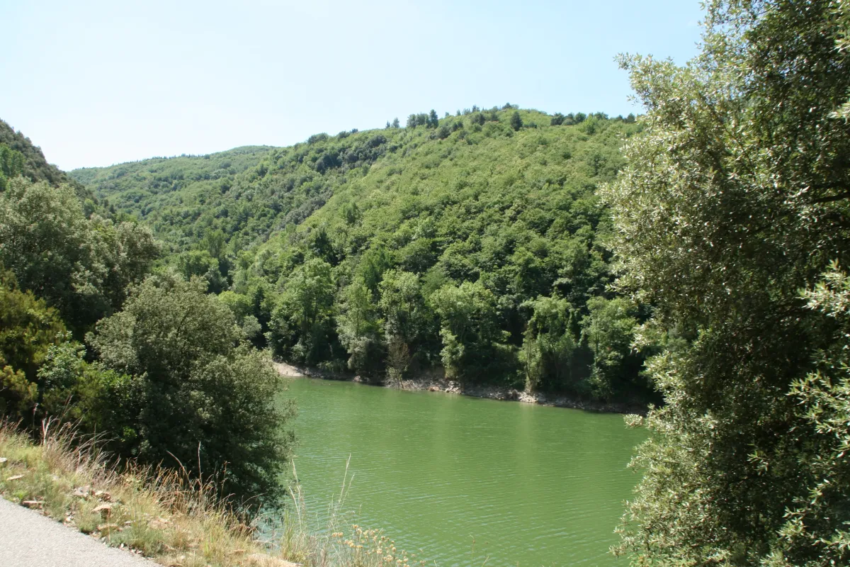 Imagem da quinta Propriedade de 35 Ha em Pantano de Susqueda