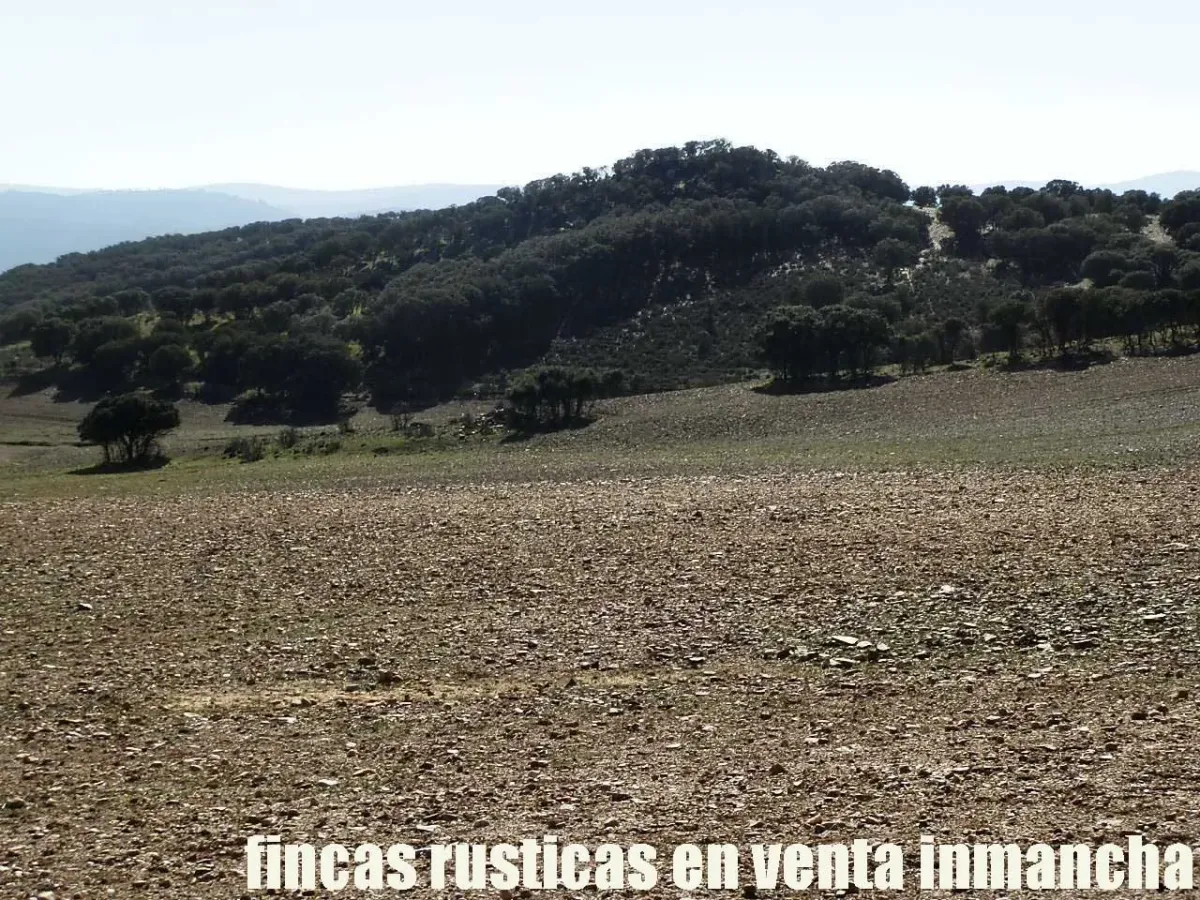 Imagen del inmueble