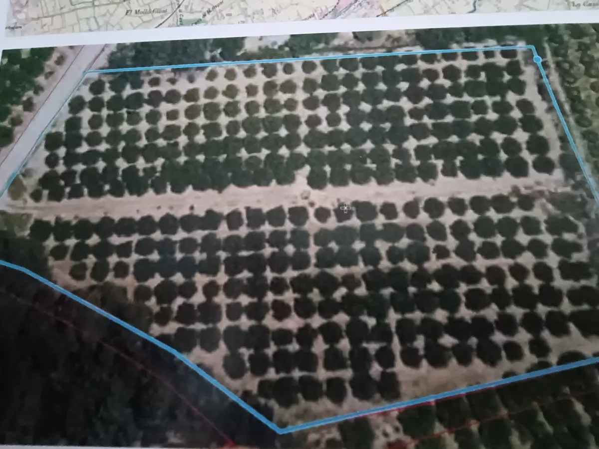 Imagem da quinta Propriedade rural com 6047 metros quadrados