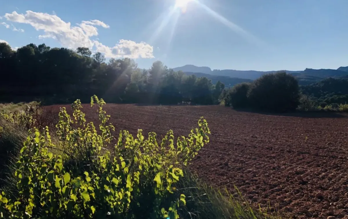 Imagen de la finca Finca Rústica con Amplias Posibilidades