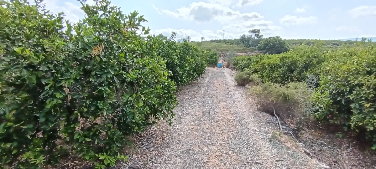 Imagem da quinta Propriedade rural com 6047 metros quadrados