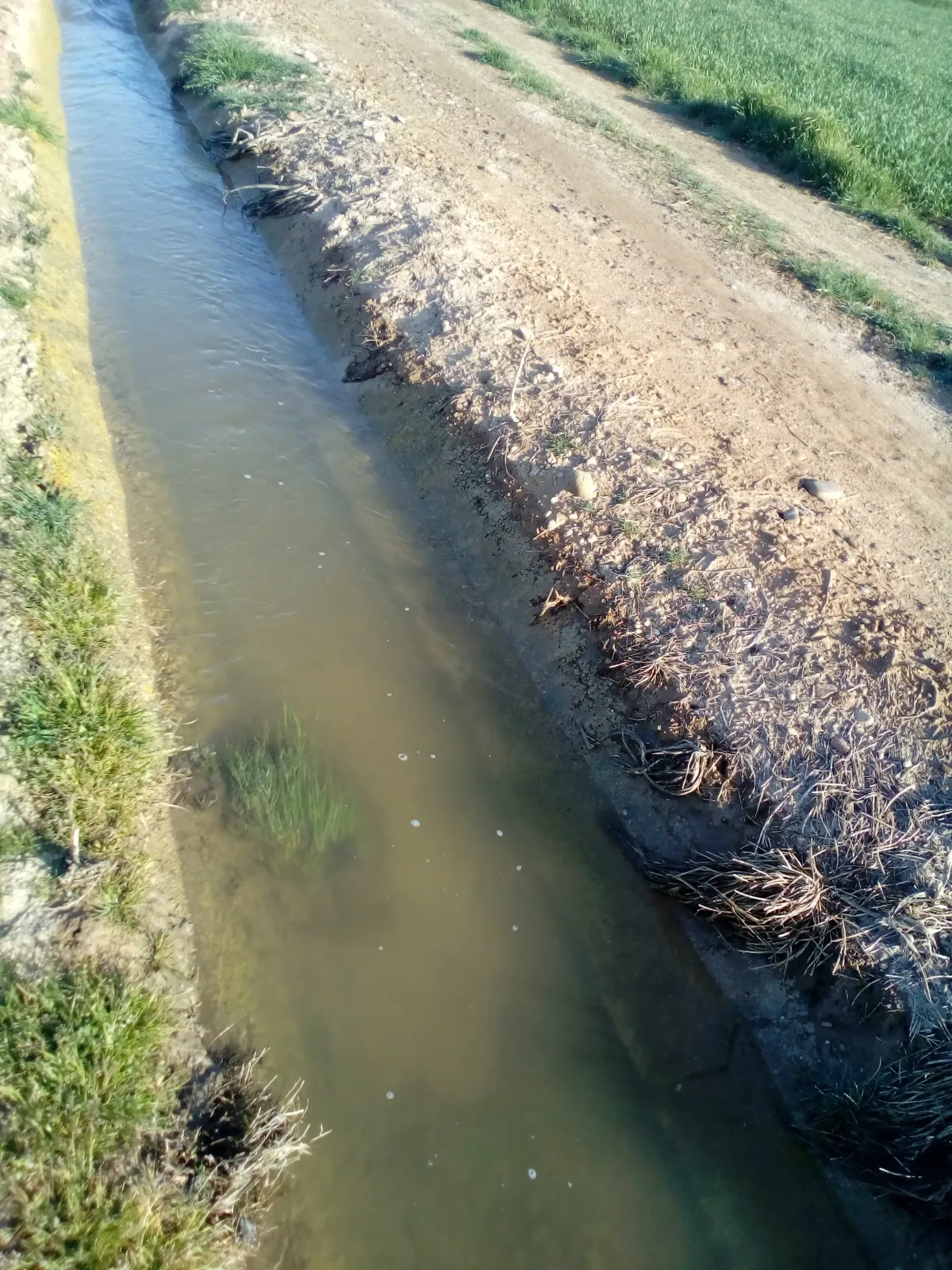 Imagem da quinta Venda de propriedade com oliveiras superintensivas