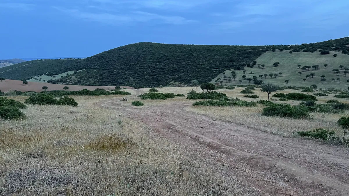Imagem da quinta Propriedade de lazer com exploração agrícola e pecuária