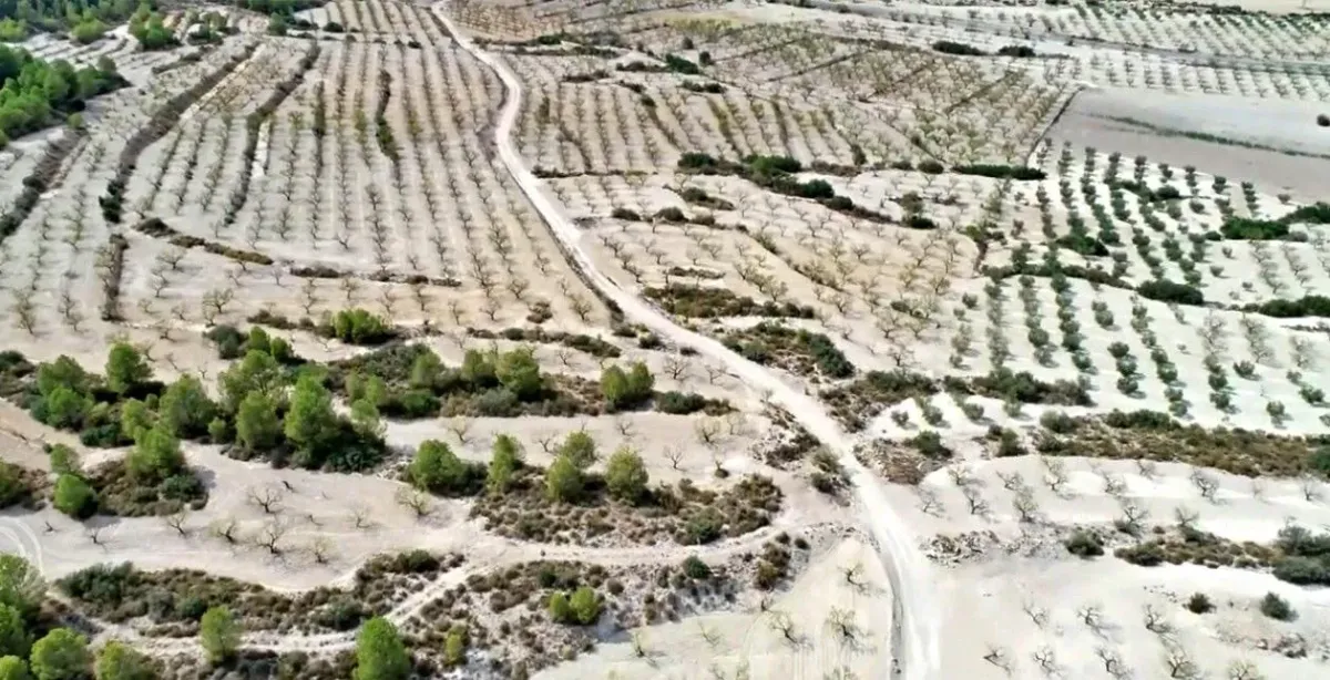 Imagen de la finca HACIENDA RUSTICA CON CASA CORTIJO - MORATALLA