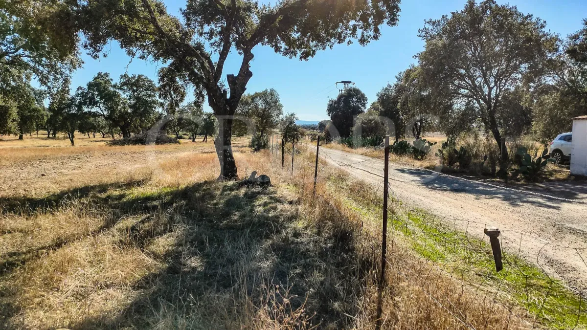 Imagem da quinta Propriedade com casa à venda na Serra de Gredos