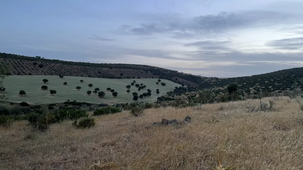 Imagem da quinta Propriedade de lazer com exploração agrícola e pecuária