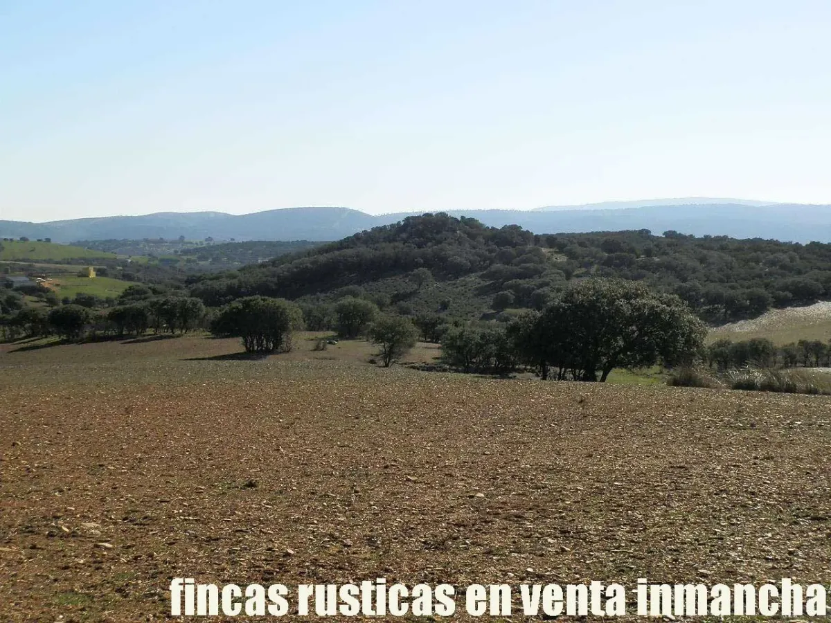Imagen del inmueble