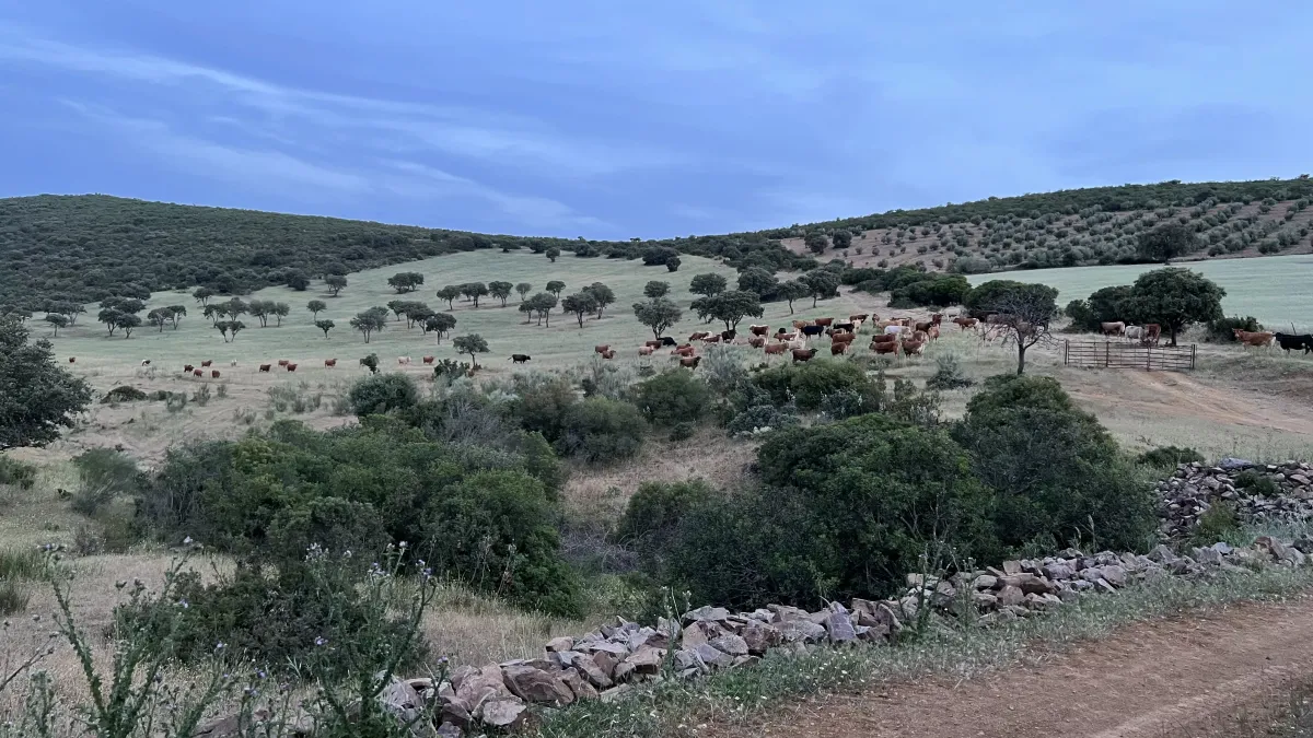 Imagem da quinta Propriedade de lazer com exploração agrícola e pecuária